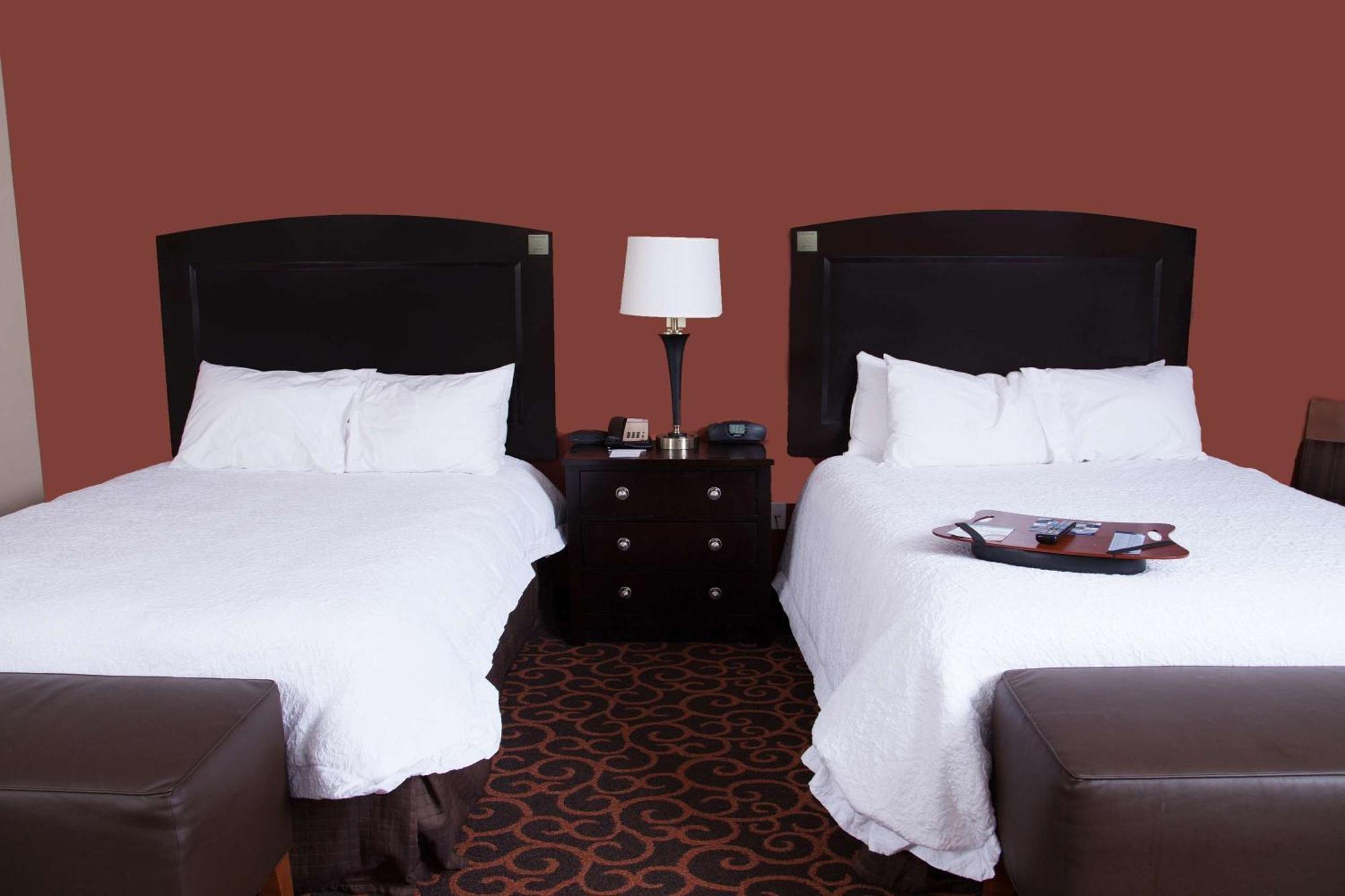 Hampton Inn & Suites Dickinson Nd Екстериор снимка