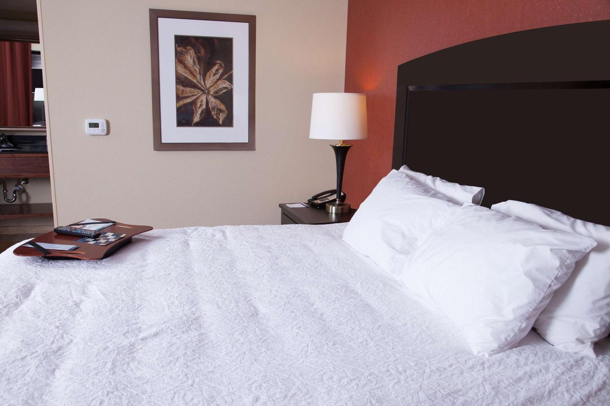 Hampton Inn & Suites Dickinson Nd Екстериор снимка